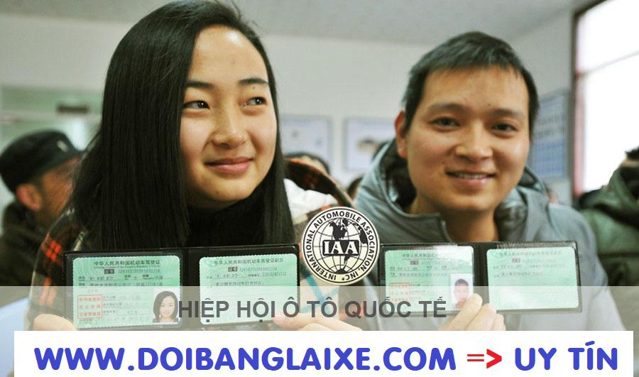 Dịch vụ đổi bằng lái xe Hà Lan sang bằng lái xe Việt Nam