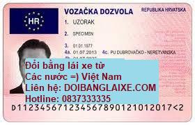  Đổi bằng lái xe Bỉ sang bằng lái xe Việt Nam giá rẻ