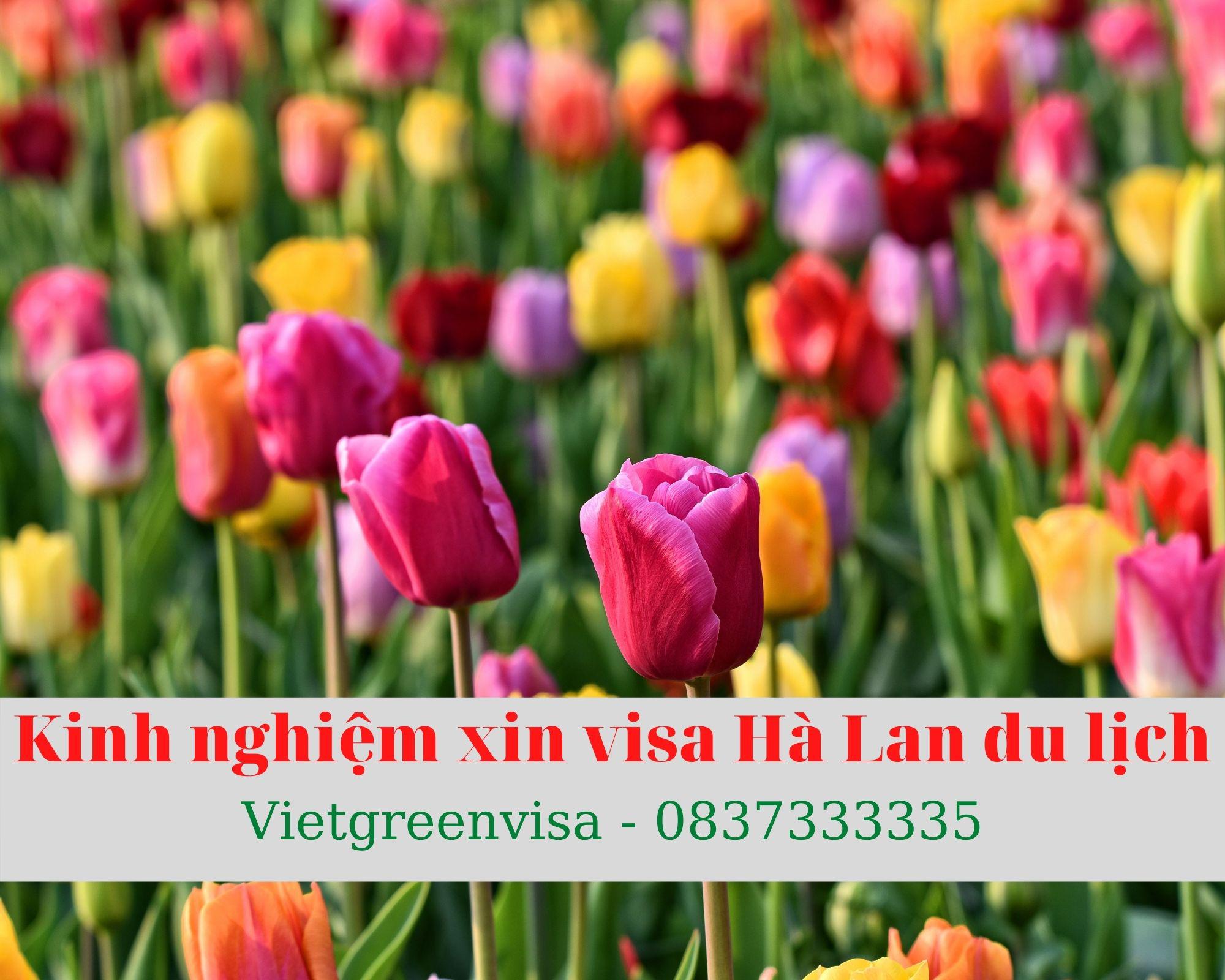Kinh nghiệm xin visa Hà Lan du lịch tự túc và thành công