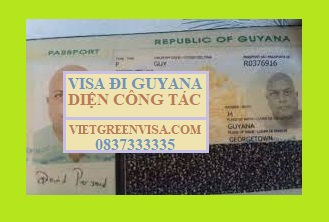 Xin Visa Guyana công tác uy tín, giá rẻ, nhanh gọn