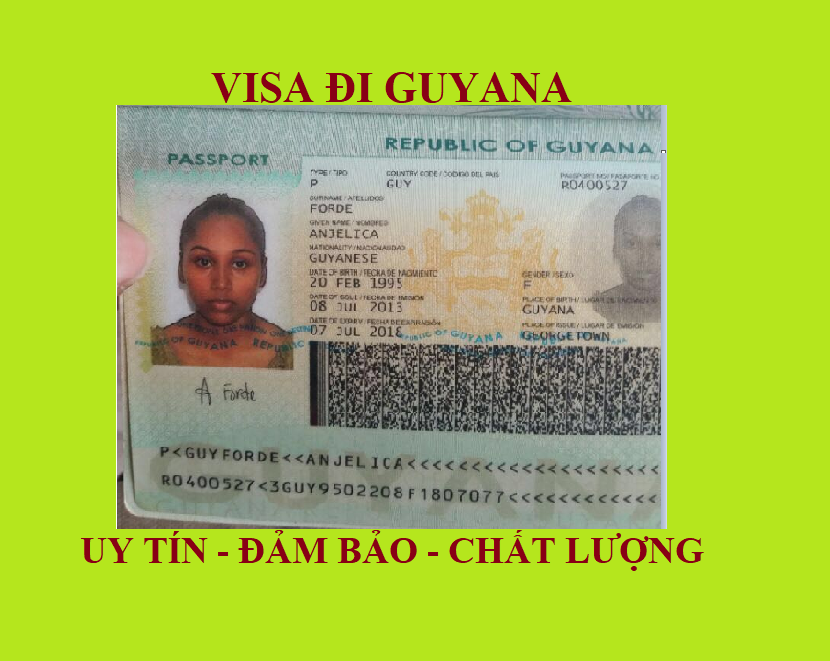 Hỗ trợ xin Visa Guyana trọn gói tại Hà Nội, Hồ Chí Minh