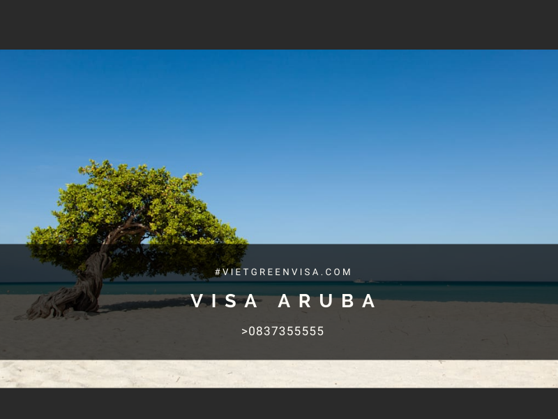 Làm Visa thuyền viên đi Aruba Nhận tàu, Lái tàu