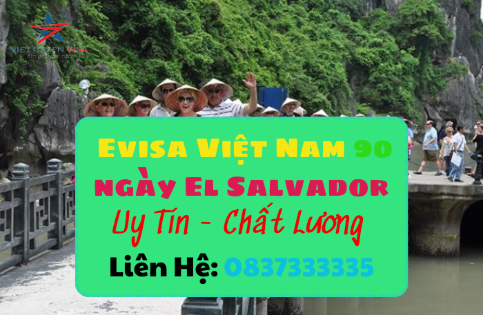 Evisa Việt Nam 3 tháng quốc tịch Saint Vincent & Grenadines