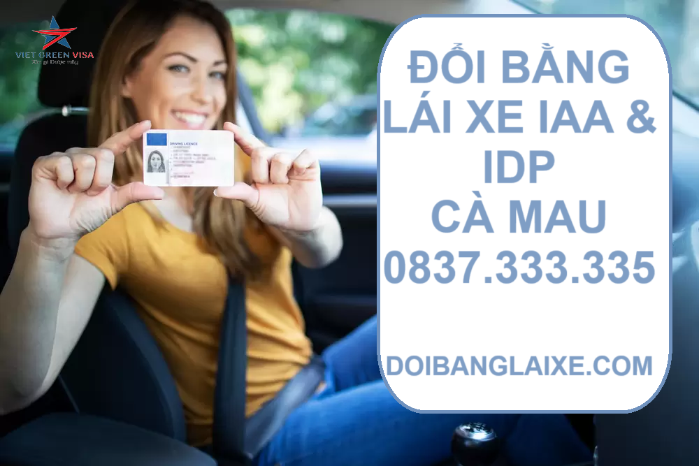 Dịch vụ đổi bằng lái xe tại Cà Mau chất lượng