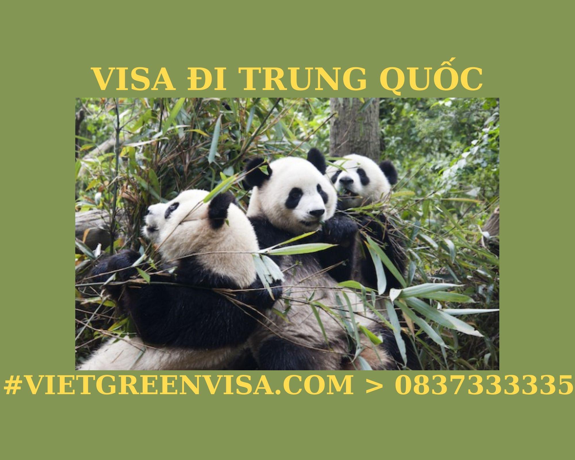 Dịch vụ xin visa làm thuyền viên đi Trung Quốc giá rẻ. Viet Green visa